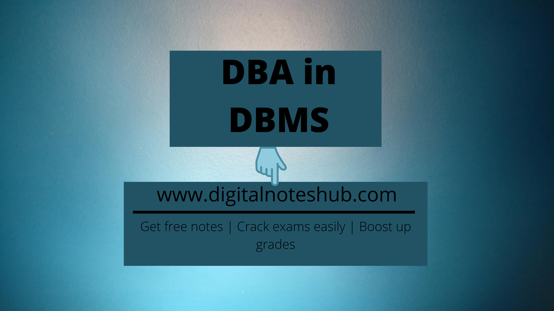 database users and administrators in dbms
