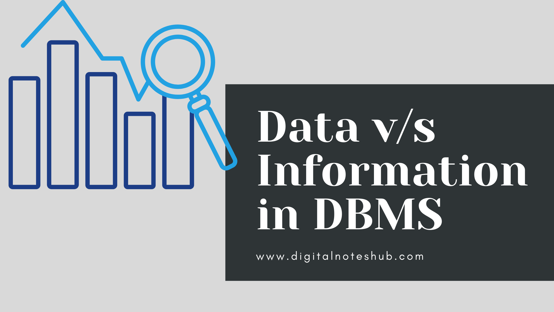 What Is Data Information In DBMS 5 Differences Digital Notes Hub